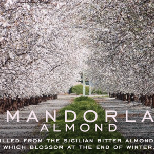 Mandel - en riktigt klassisk italiensk doft- en mjuk, aningen söt doft från mandelträden som blommor på senvintern.
